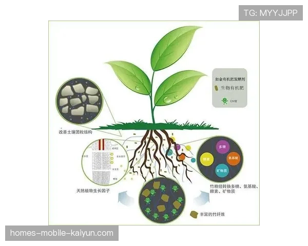 草坪土壤中的微生物生态系统，微生物在草地形成中的作用